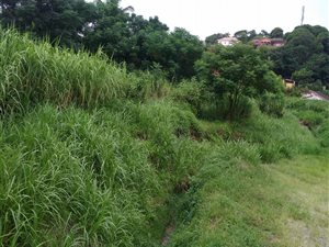 1679 m² Land available in Isipingo Rail