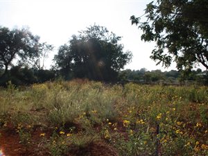 754 m² Land available in Kuruman