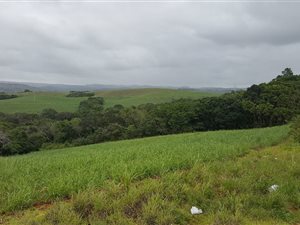 358.4 ha Farm in Izotsha