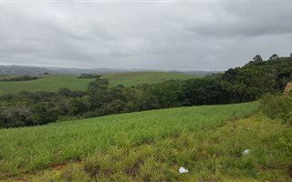 358.4 ha Farm in Izotsha