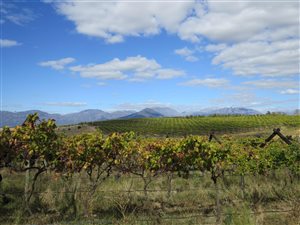 102 ha Farm in Wellington Central