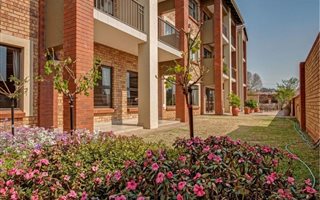 1 Bedroom Apartment in Olivedale