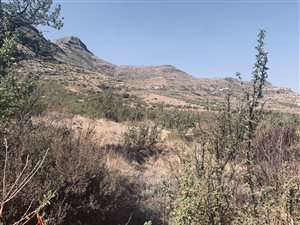 1623 m² Land available in Clarens