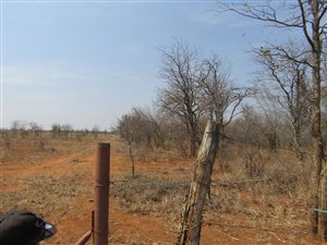 21.4 ha Land available in Phalaborwa