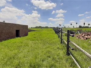 8 ha Farm in Pyramid