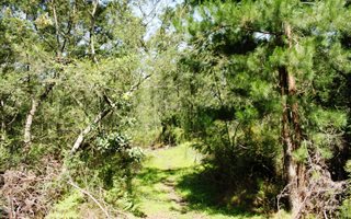 1528 m² Land available in Suurbraak