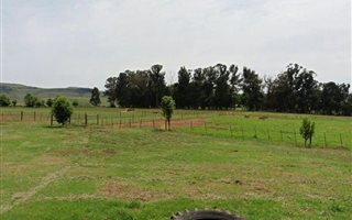 39 ha Land available in Mooi River