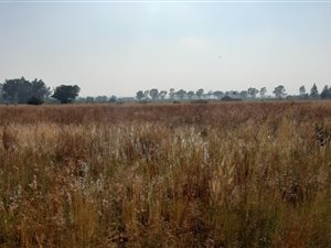 2.1 ha Land available in Sherman Park AH