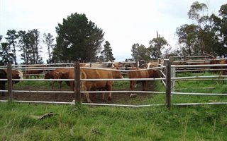 1149 ha Farm in Bethlehem