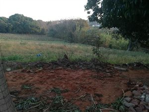 1624 m² Farm in Ballito