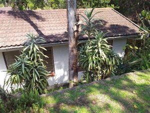 3 Bed House in Paradise Valley