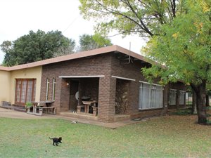 7900 m² Farm with House in Vyfhoek