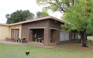7900 m² Farm with House in Vyfhoek