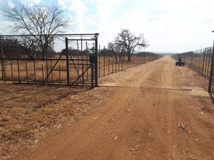 168 ha Farm in Makhado (Louis Trichardt)
