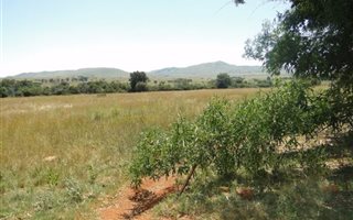 467 ha Farm in Middelburg Central