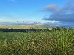 41 ha Farm in Hilton