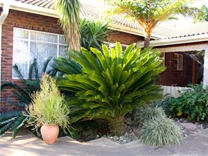 6 Bed House in Vryheid