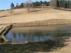 16 ha Farm in Balgowan