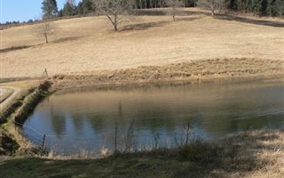 16 ha Farm in Balgowan