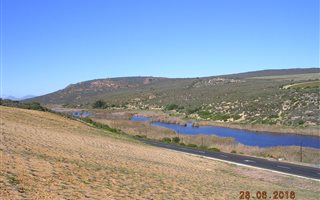 480 ha Farm in Redelinghuys