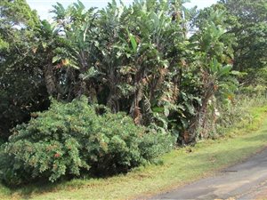 1494 m² Land available in Marina Beach