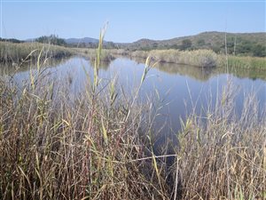 270 ha Farm in Mokopane