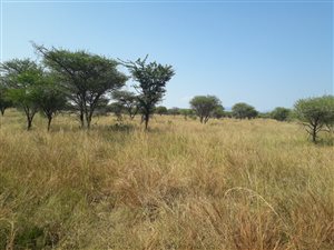 270 ha Farm in Mokopane