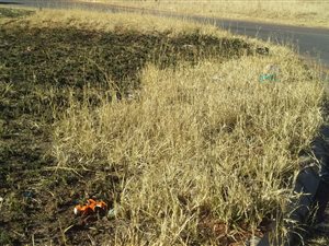 1 ha Land available in Walkerville