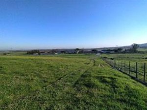 215 ha Farm in Malmesbury