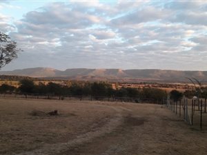 23 ha Farm in Hekpoort