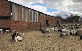 8 ha Farm in Roodeplaat