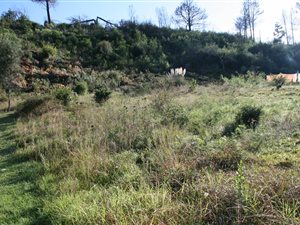 1025 m² Land available in Green Pastures