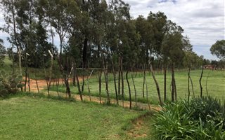 2.8 ha Farm in Nestpark AH