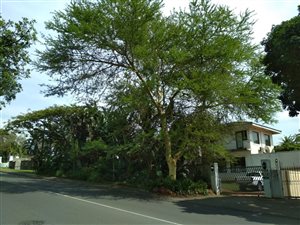 5 Bed House in Durban North
