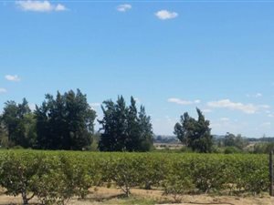 6.9 ha Land available in Paarl Central East