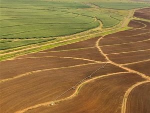 3394 ha Farm in Harrismith