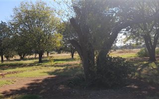 4.1 ha Farm in Schweizer Reyneke