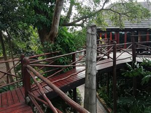 9 Bed House in Birdswood