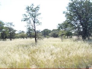 4884 ha Farm in Mmabatho