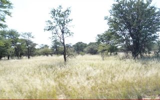 4884 ha Farm in Mmabatho
