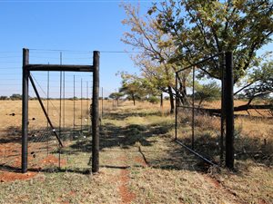 21.4 ha Farm in Bela-Bela (Warmbaths)