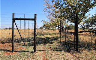 21.4 ha Farm in Bela-Bela (Warmbaths)