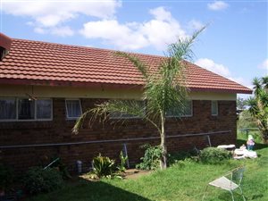 21 ha Farm in Tweefontein