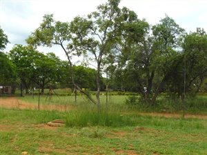 1 ha Land available in Kameeldrift East