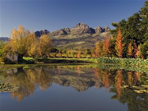 23.9 ha Farm in Stellenbosch Agricultural