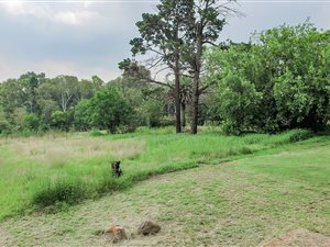 3.2 ha Land available in Naturena