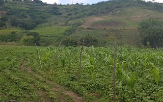 1 ha Farm in Umkomaas