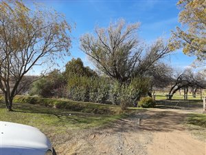 3 Bed House in Warden