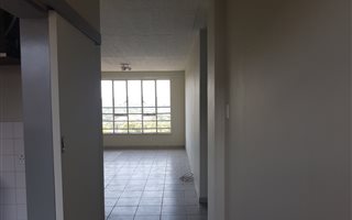 Bachelor apartment in Murrayfield