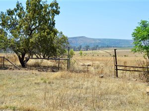 14 ha Farm in Magaliesburg